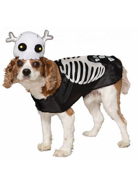 Halloween honden kostuum